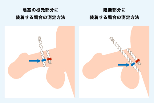 陰茎の根元部分に装着する場合の測定方法と陰嚢部分に装着する場合の測定方法