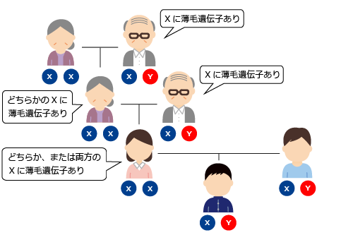 遺伝ケース2