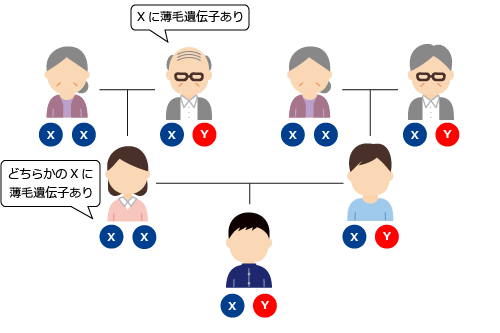 遺伝ケース1