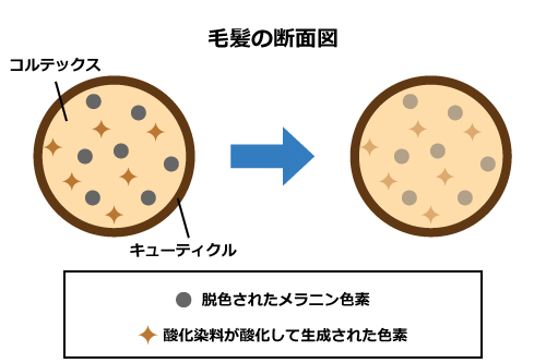 脱染剤の染まり方